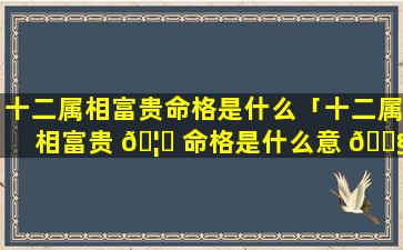 十二属相富贵命格是什么「十二属相富贵 🦆 命格是什么意 🐧 思」